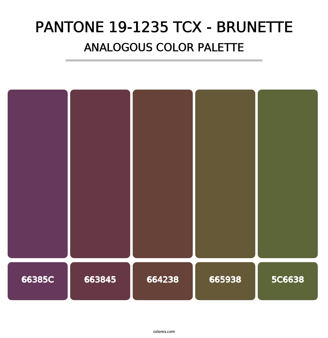 PANTONE 19-1235 TCX - Brunette - Analogous Color Palette