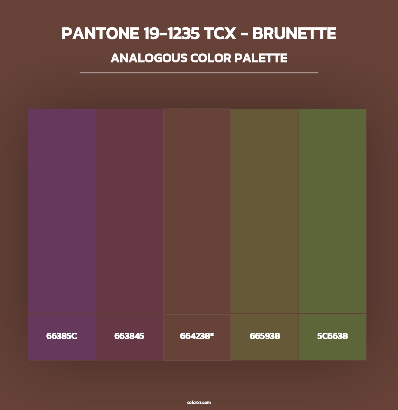 PANTONE 19-1235 TCX - Brunette - Analogous Color Palette