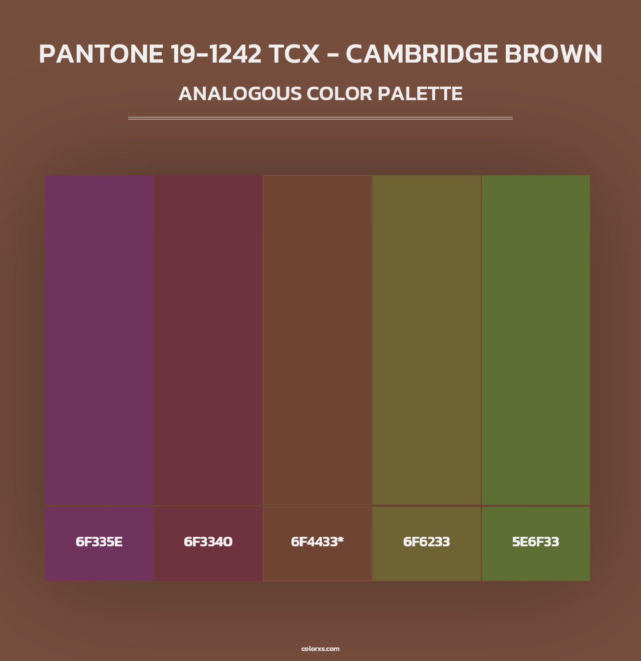 PANTONE 19-1242 TCX - Cambridge Brown - Analogous Color Palette
