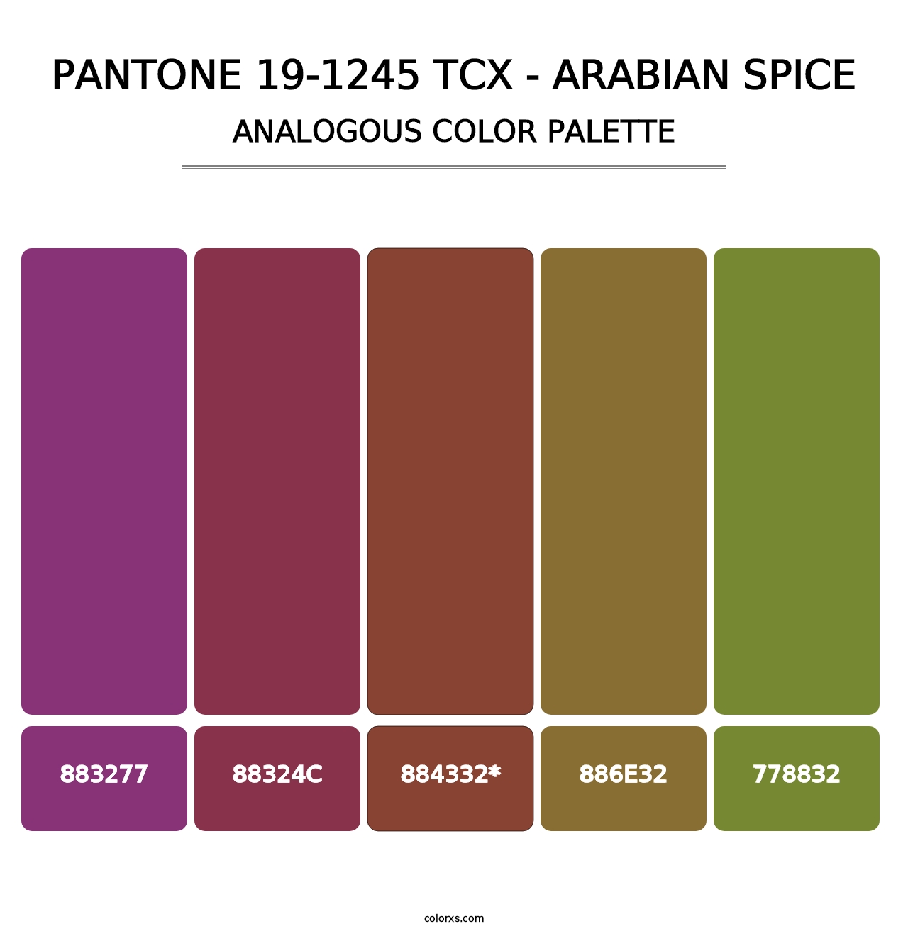 PANTONE 19-1245 TCX - Arabian Spice - Analogous Color Palette