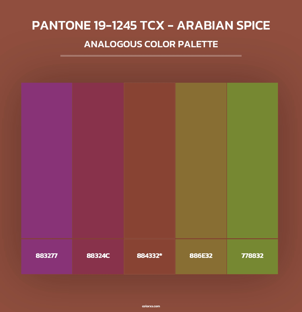 PANTONE 19-1245 TCX - Arabian Spice - Analogous Color Palette