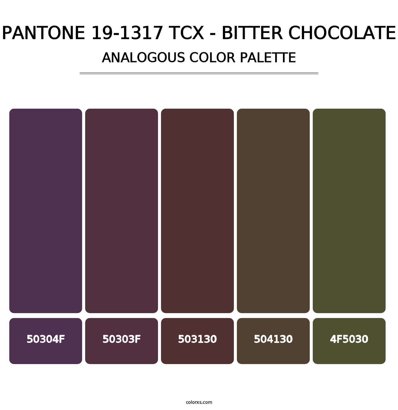 PANTONE 19-1317 TCX - Bitter Chocolate - Analogous Color Palette