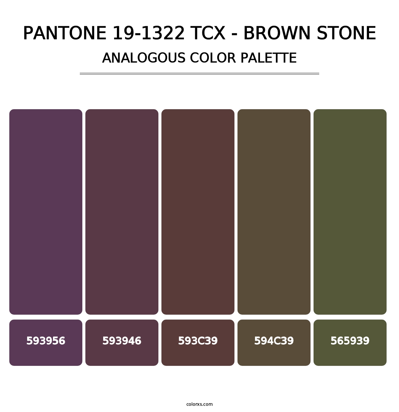 PANTONE 19-1322 TCX - Brown Stone - Analogous Color Palette