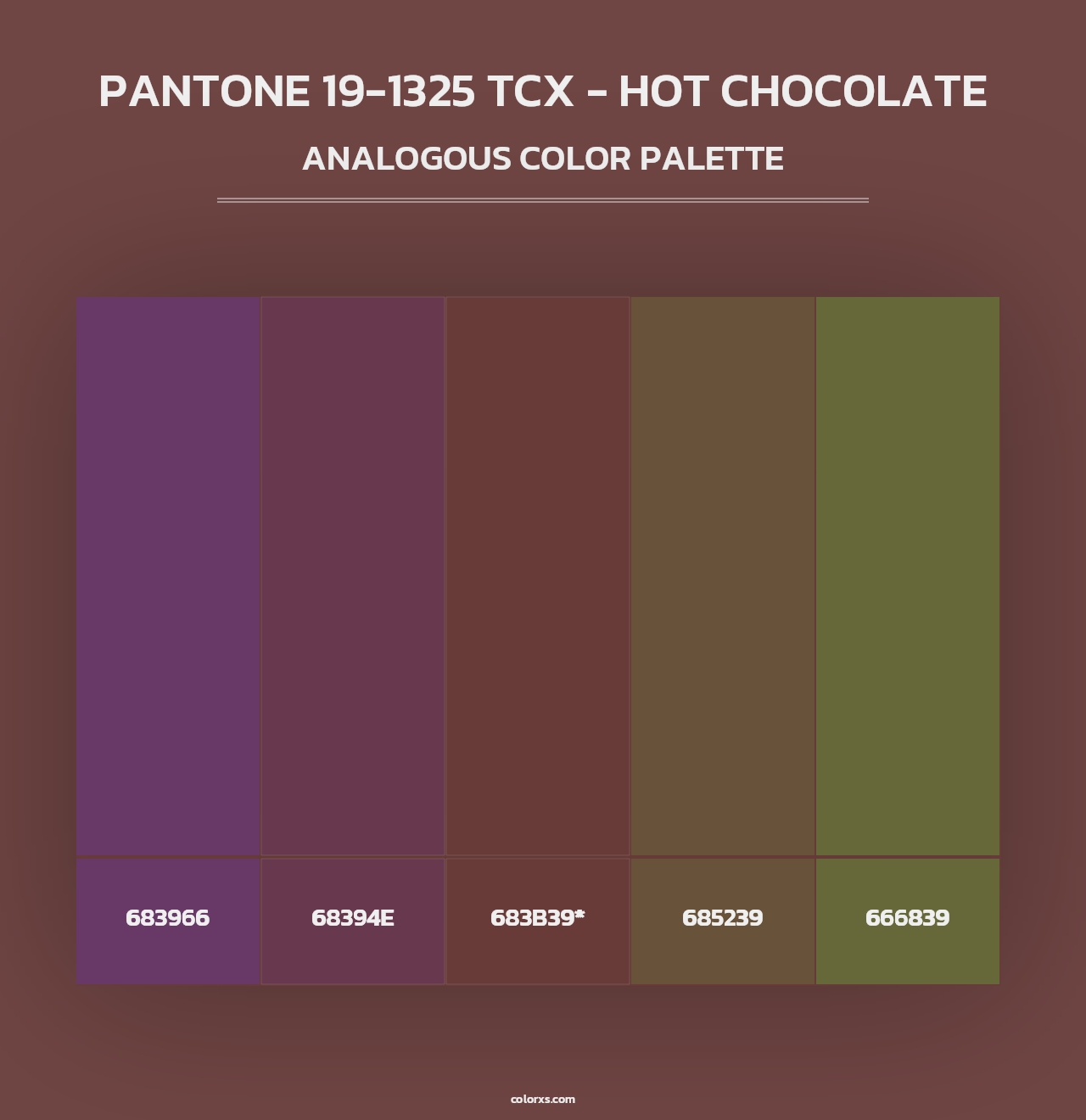 PANTONE 19-1325 TCX - Hot Chocolate - Analogous Color Palette