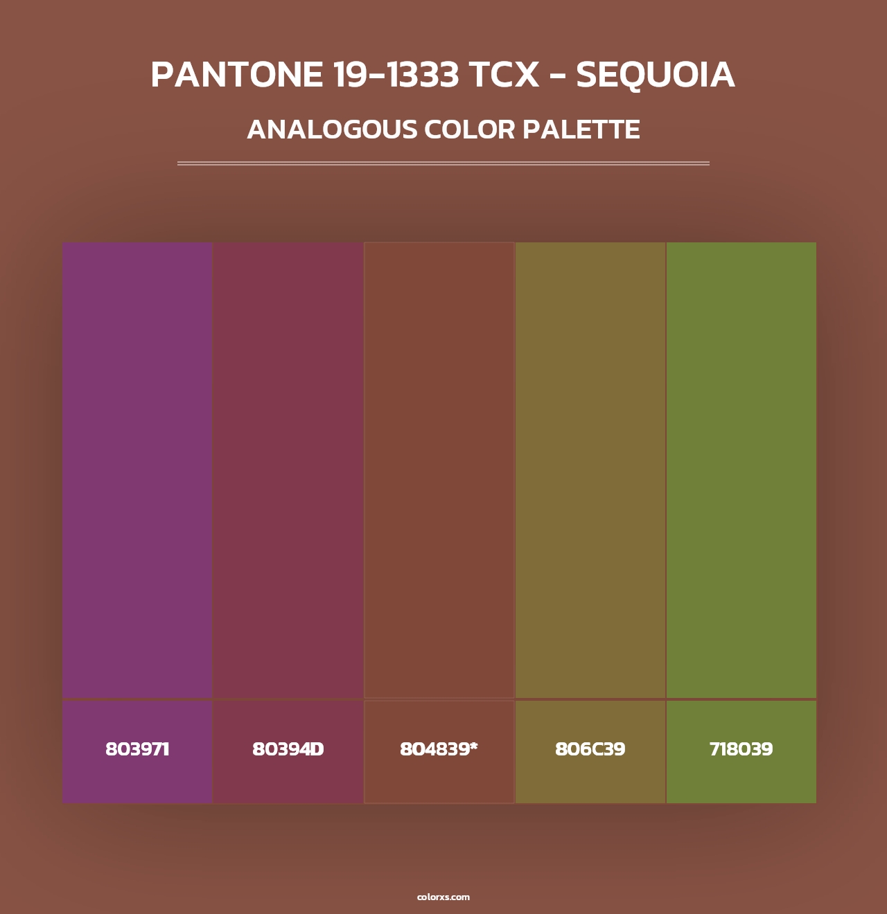 PANTONE 19-1333 TCX - Sequoia - Analogous Color Palette