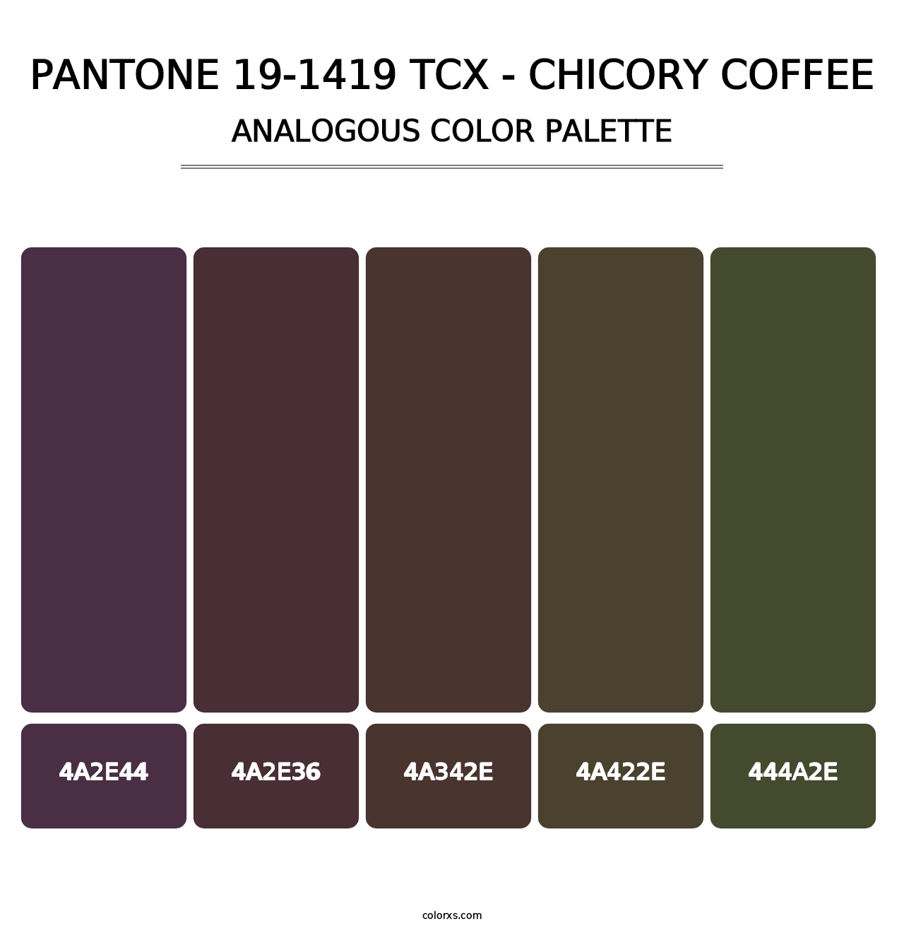 PANTONE 19-1419 TCX - Chicory Coffee - Analogous Color Palette