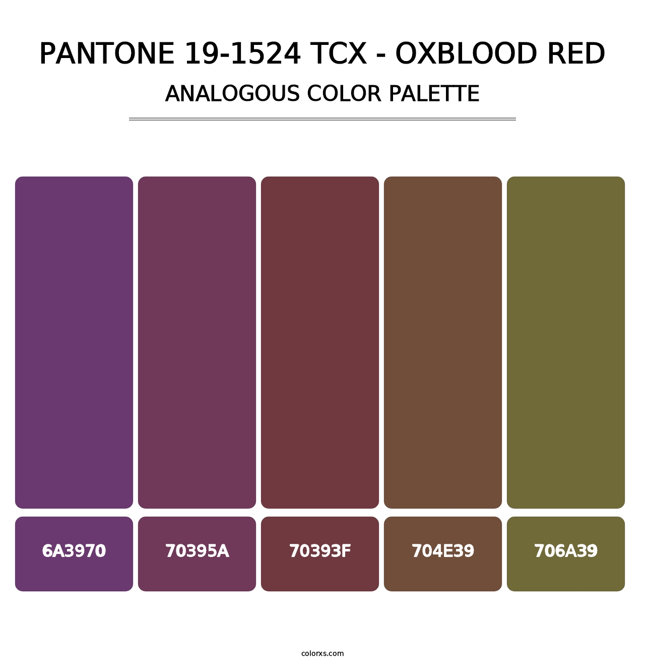 PANTONE 19-1524 TCX - Oxblood Red - Analogous Color Palette