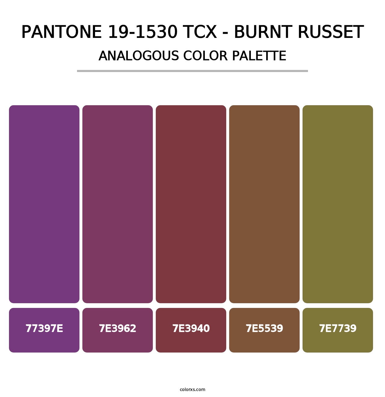 PANTONE 19-1530 TCX - Burnt Russet - Analogous Color Palette