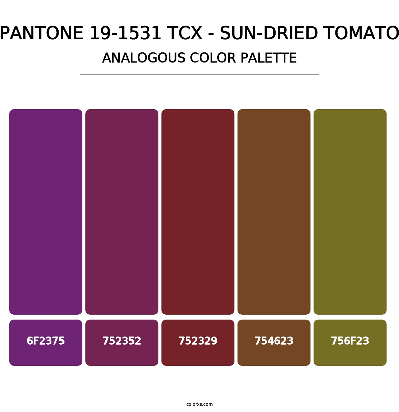 PANTONE 19-1531 TCX - Sun-Dried Tomato - Analogous Color Palette
