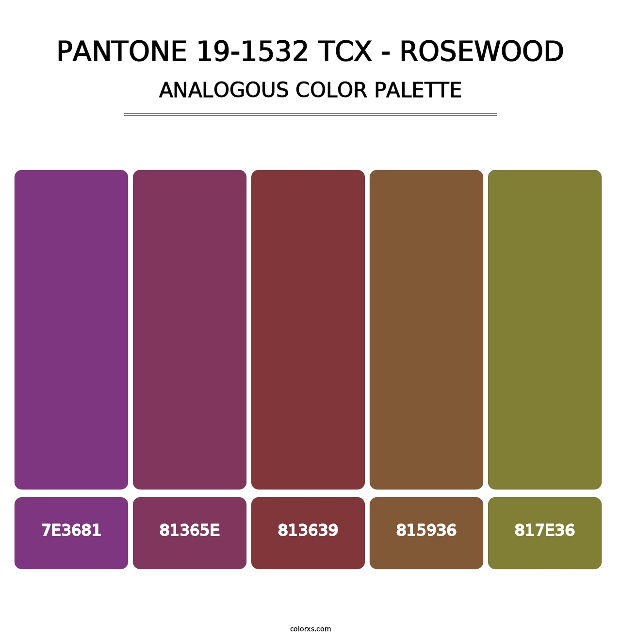 PANTONE 19-1532 TCX - Rosewood - Analogous Color Palette