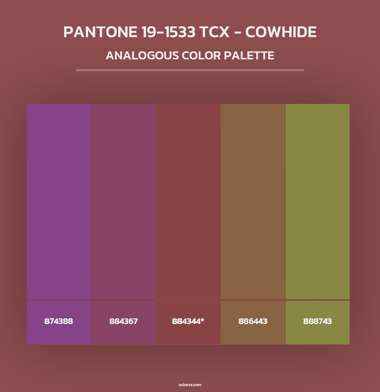 PANTONE 19-1533 TCX - Cowhide - Analogous Color Palette