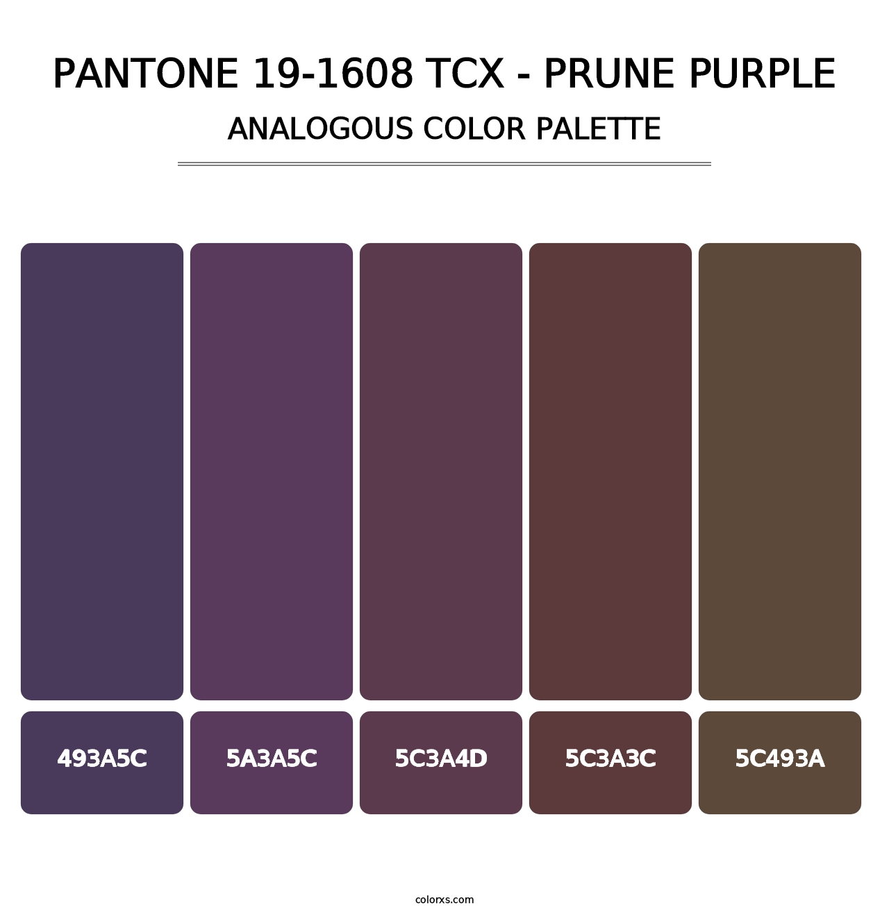 PANTONE 19-1608 TCX - Prune Purple - Analogous Color Palette