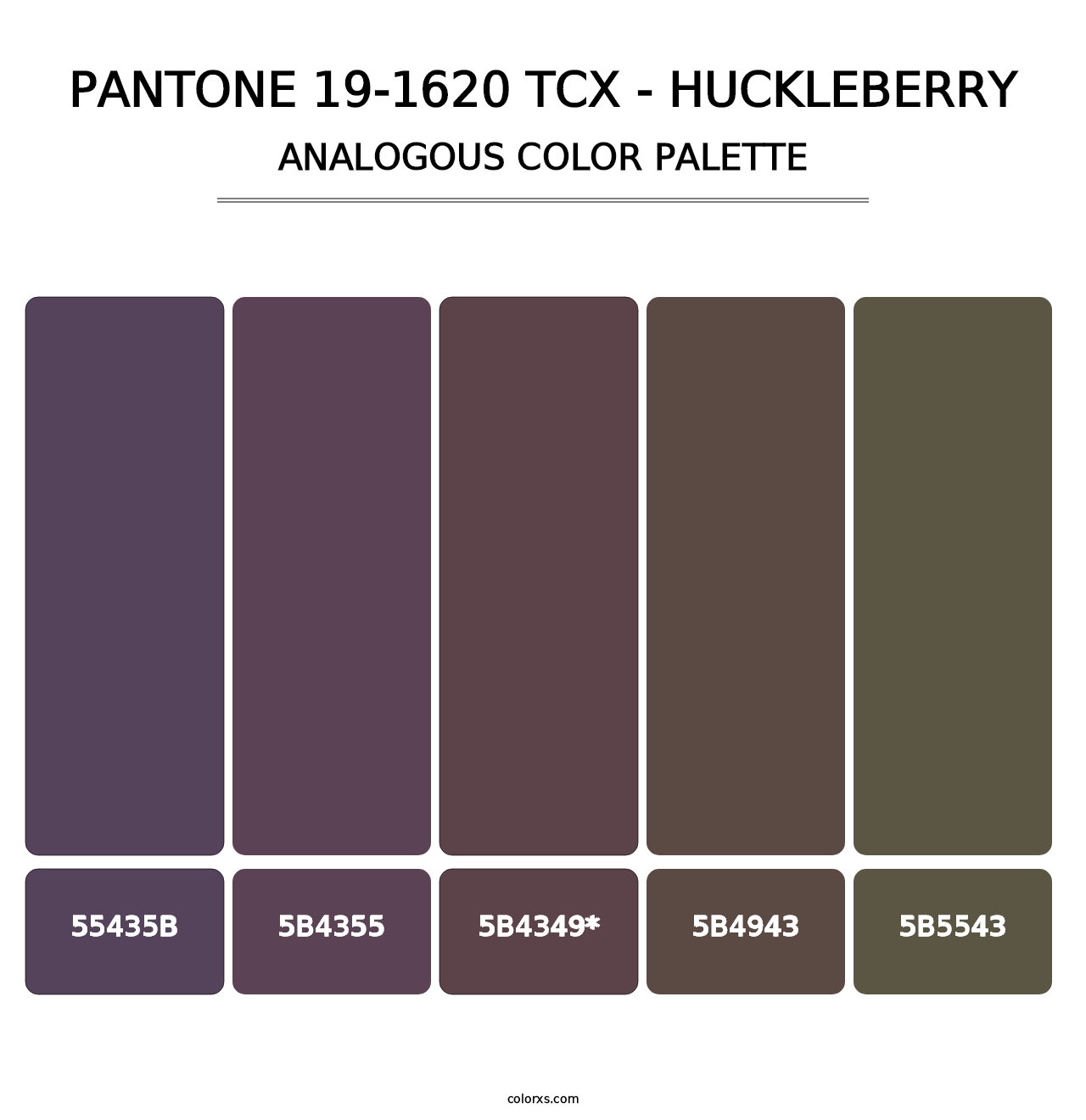 PANTONE 19-1620 TCX - Huckleberry - Analogous Color Palette