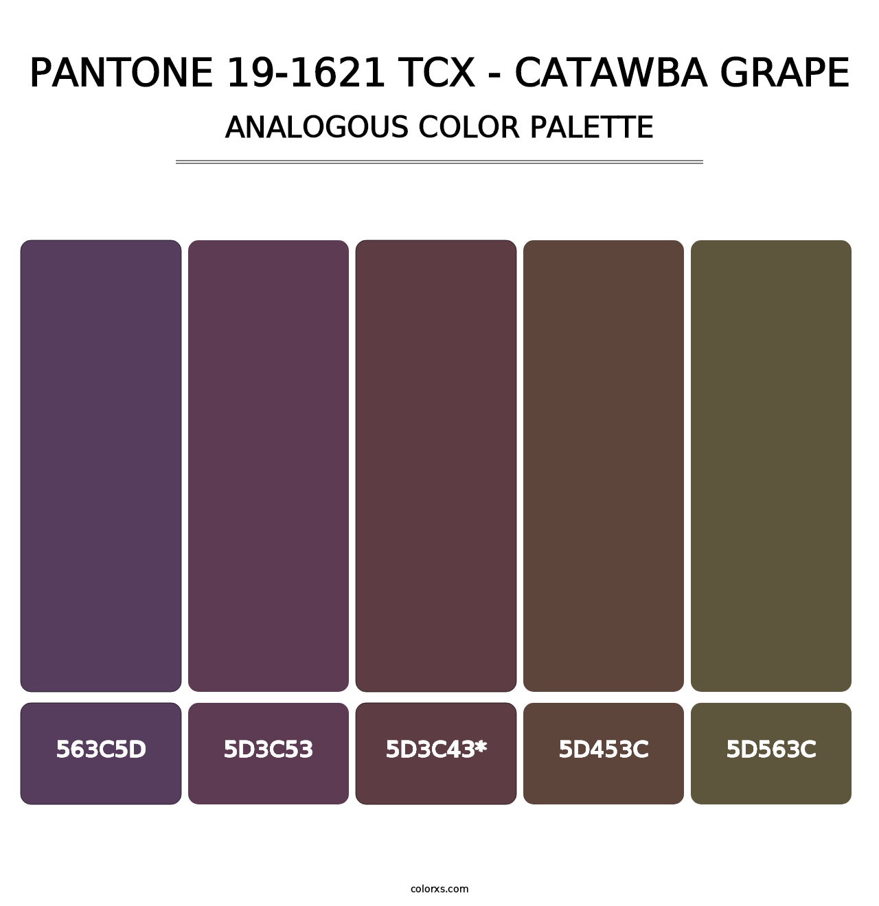 PANTONE 19-1621 TCX - Catawba Grape - Analogous Color Palette