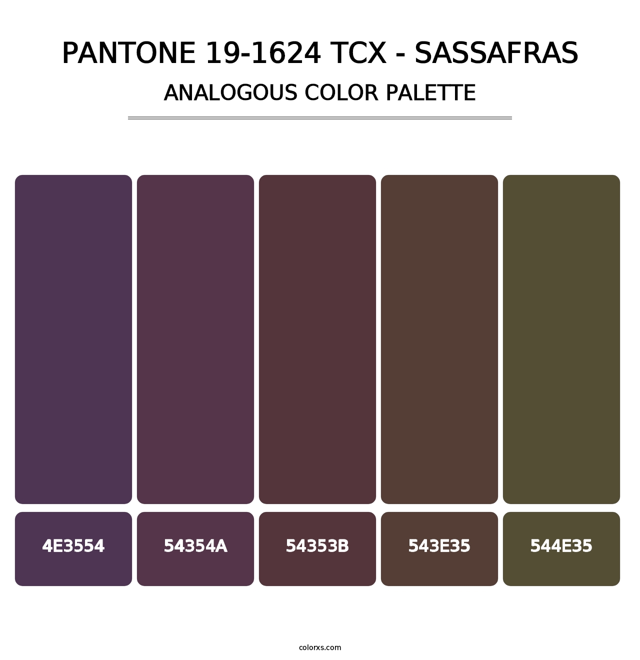 PANTONE 19-1624 TCX - Sassafras - Analogous Color Palette