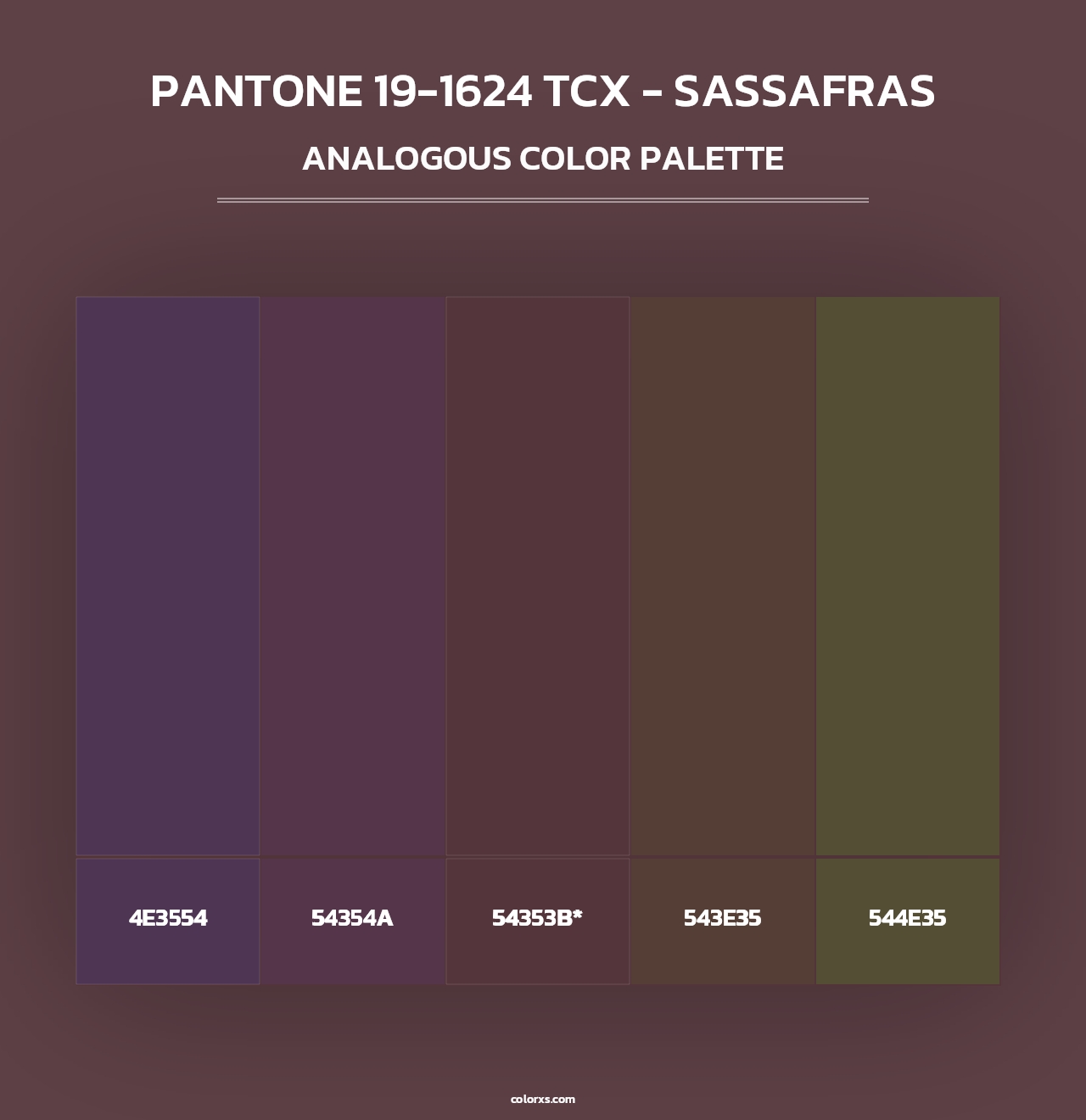 PANTONE 19-1624 TCX - Sassafras - Analogous Color Palette
