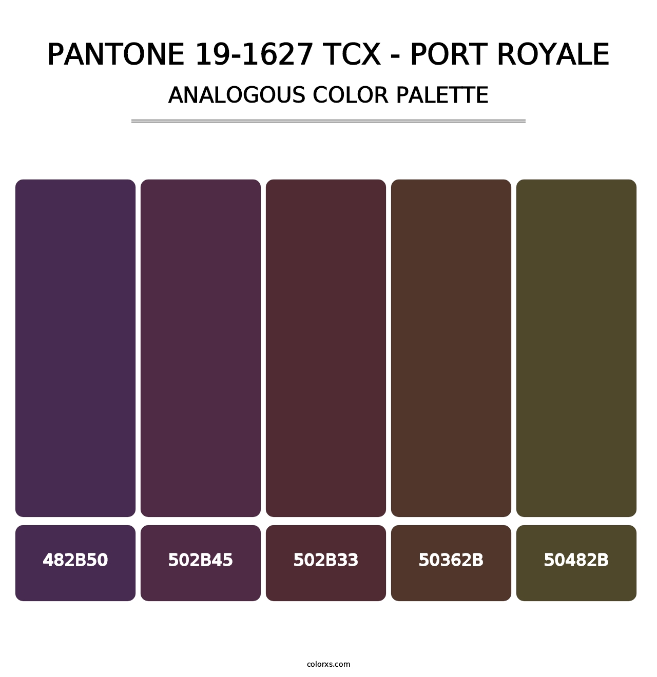 PANTONE 19-1627 TCX - Port Royale - Analogous Color Palette