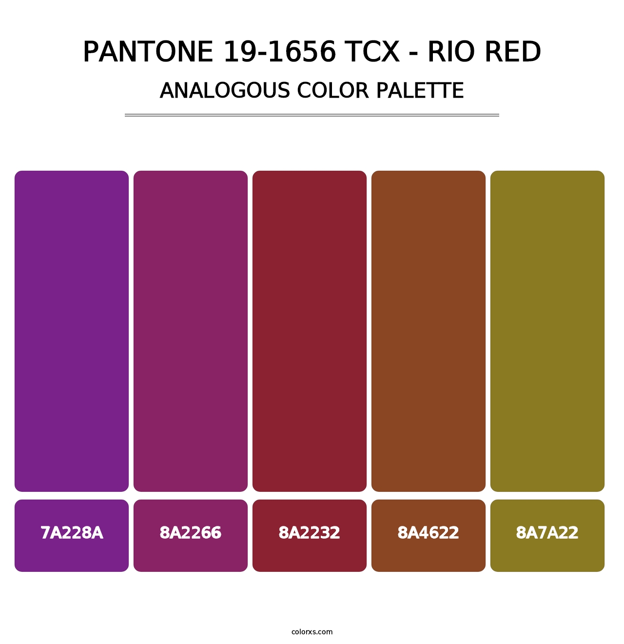 PANTONE 19-1656 TCX - Rio Red - Analogous Color Palette