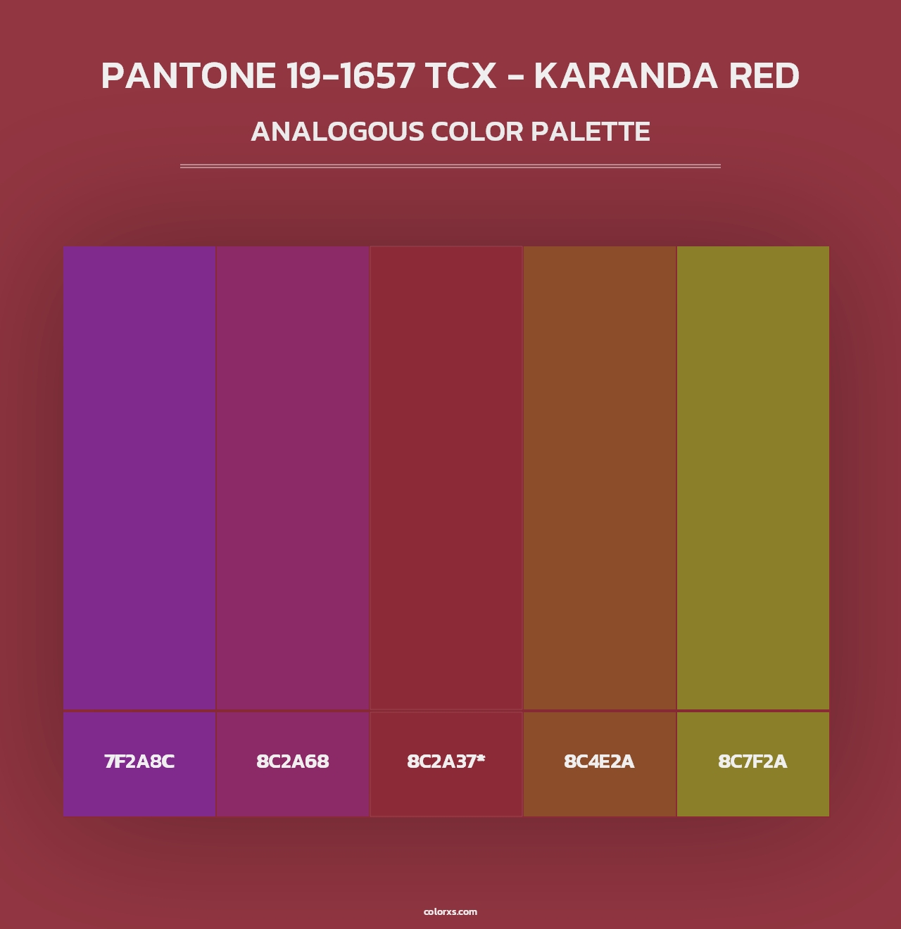 PANTONE 19-1657 TCX - Karanda Red - Analogous Color Palette