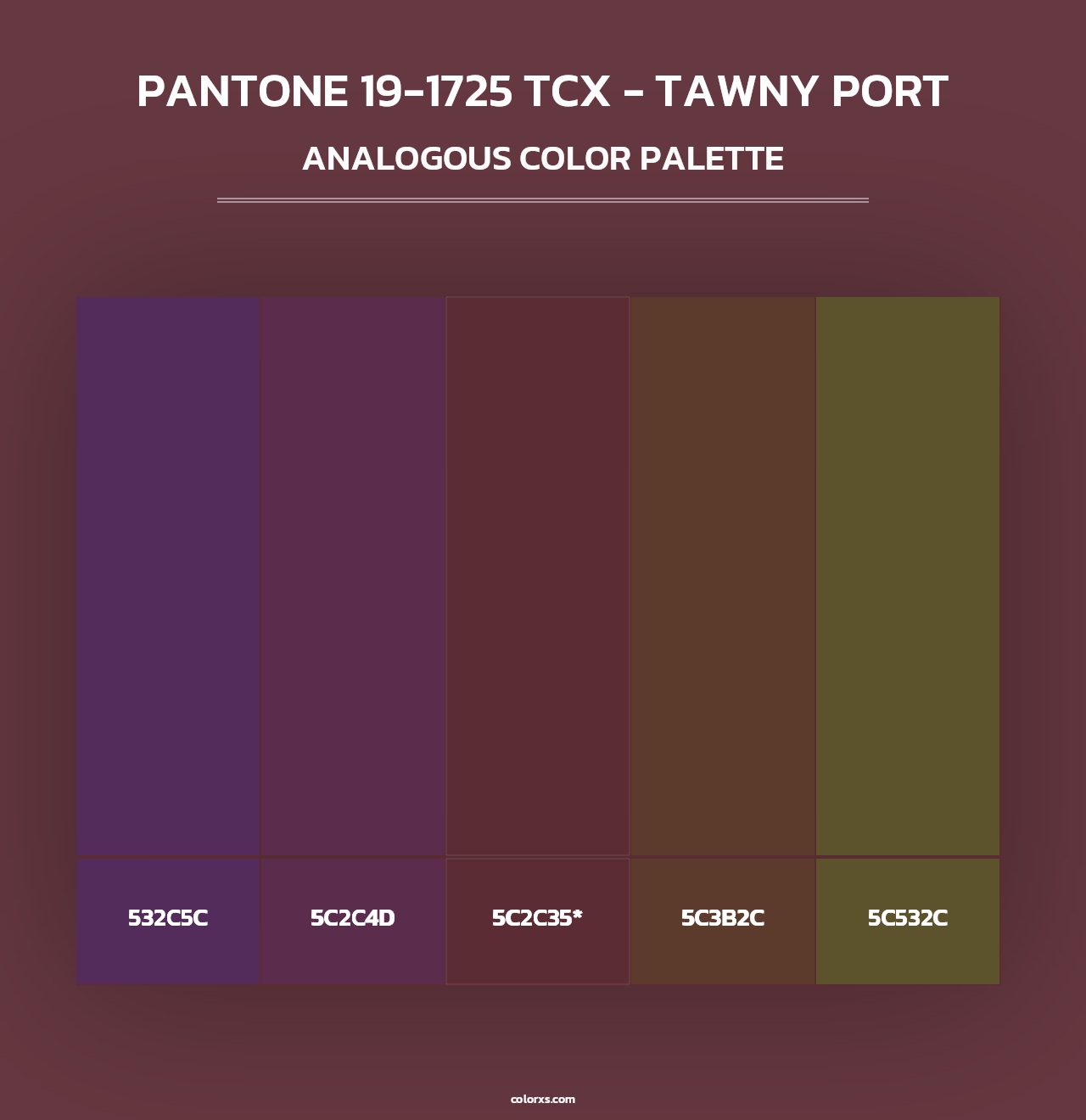 PANTONE 19-1725 TCX - Tawny Port - Analogous Color Palette