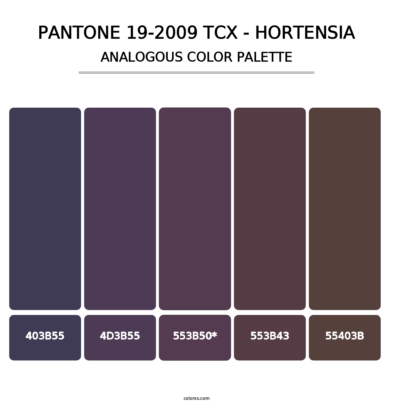 PANTONE 19-2009 TCX - Hortensia - Analogous Color Palette