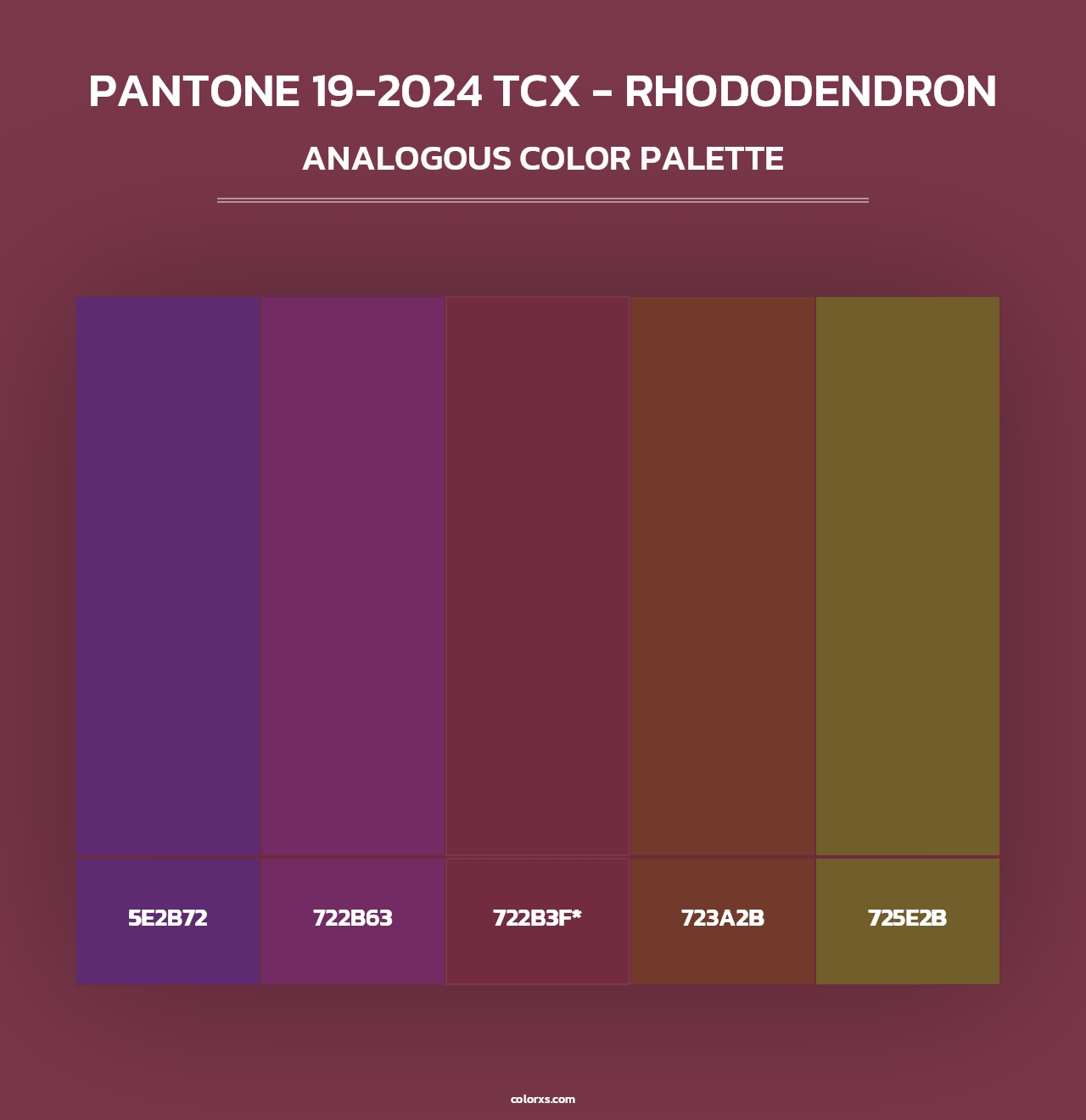 PANTONE 19-2024 TCX - Rhododendron - Analogous Color Palette