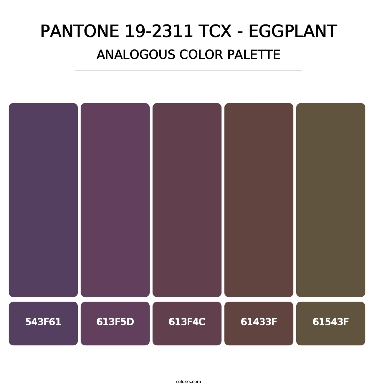 PANTONE 19-2311 TCX - Eggplant - Analogous Color Palette