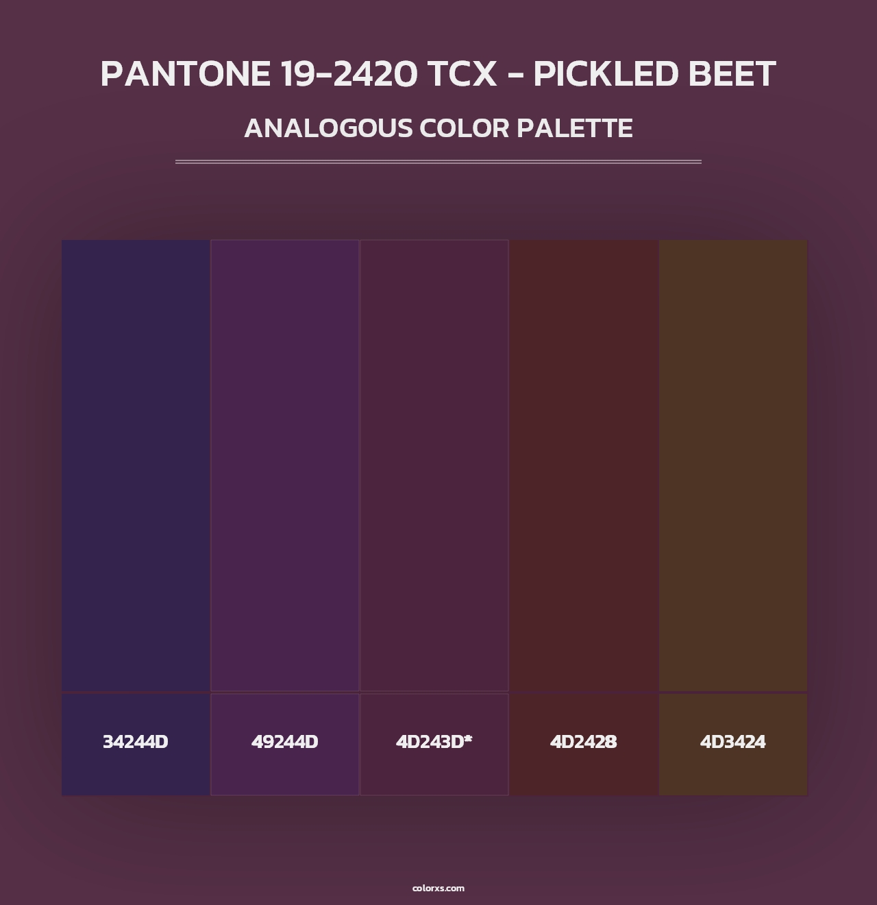 PANTONE 19-2420 TCX - Pickled Beet - Analogous Color Palette