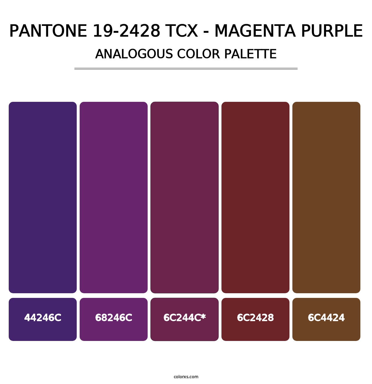 PANTONE 19-2428 TCX - Magenta Purple - Analogous Color Palette