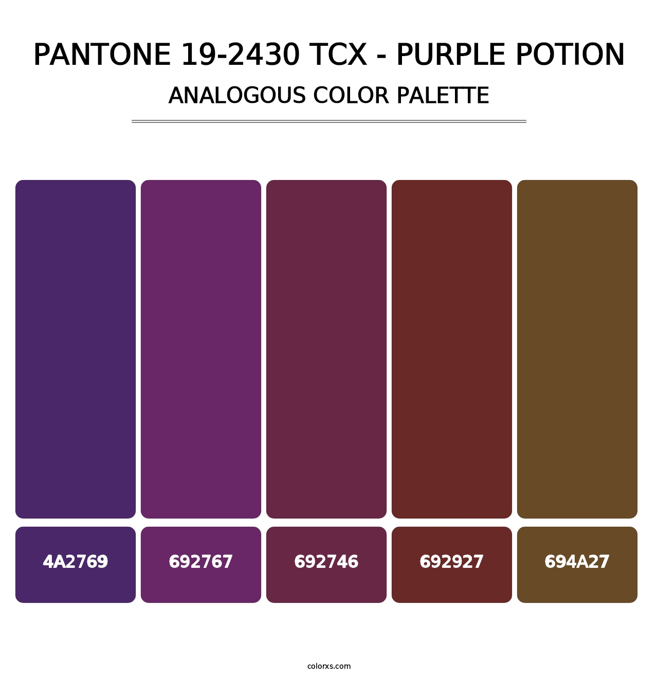 PANTONE 19-2430 TCX - Purple Potion - Analogous Color Palette