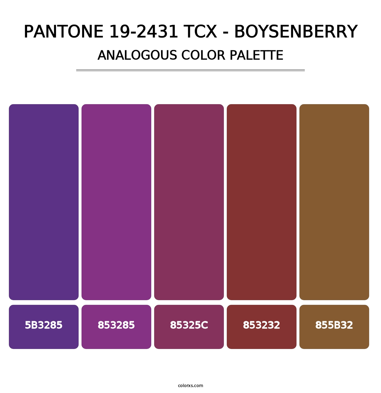 PANTONE 19-2431 TCX - Boysenberry - Analogous Color Palette