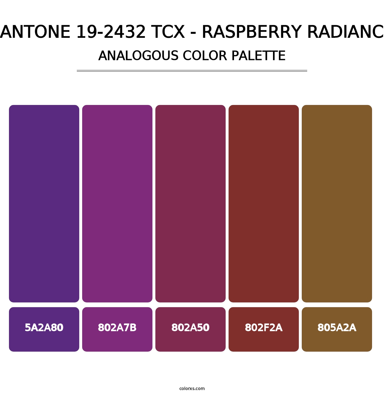 PANTONE 19-2432 TCX - Raspberry Radiance - Analogous Color Palette