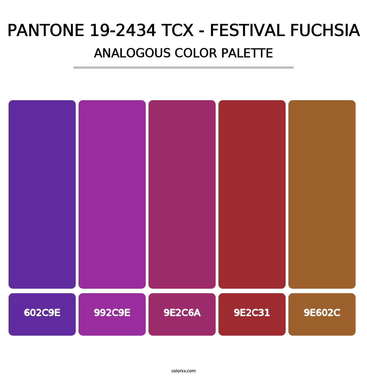 PANTONE 19-2434 TCX - Festival Fuchsia - Analogous Color Palette