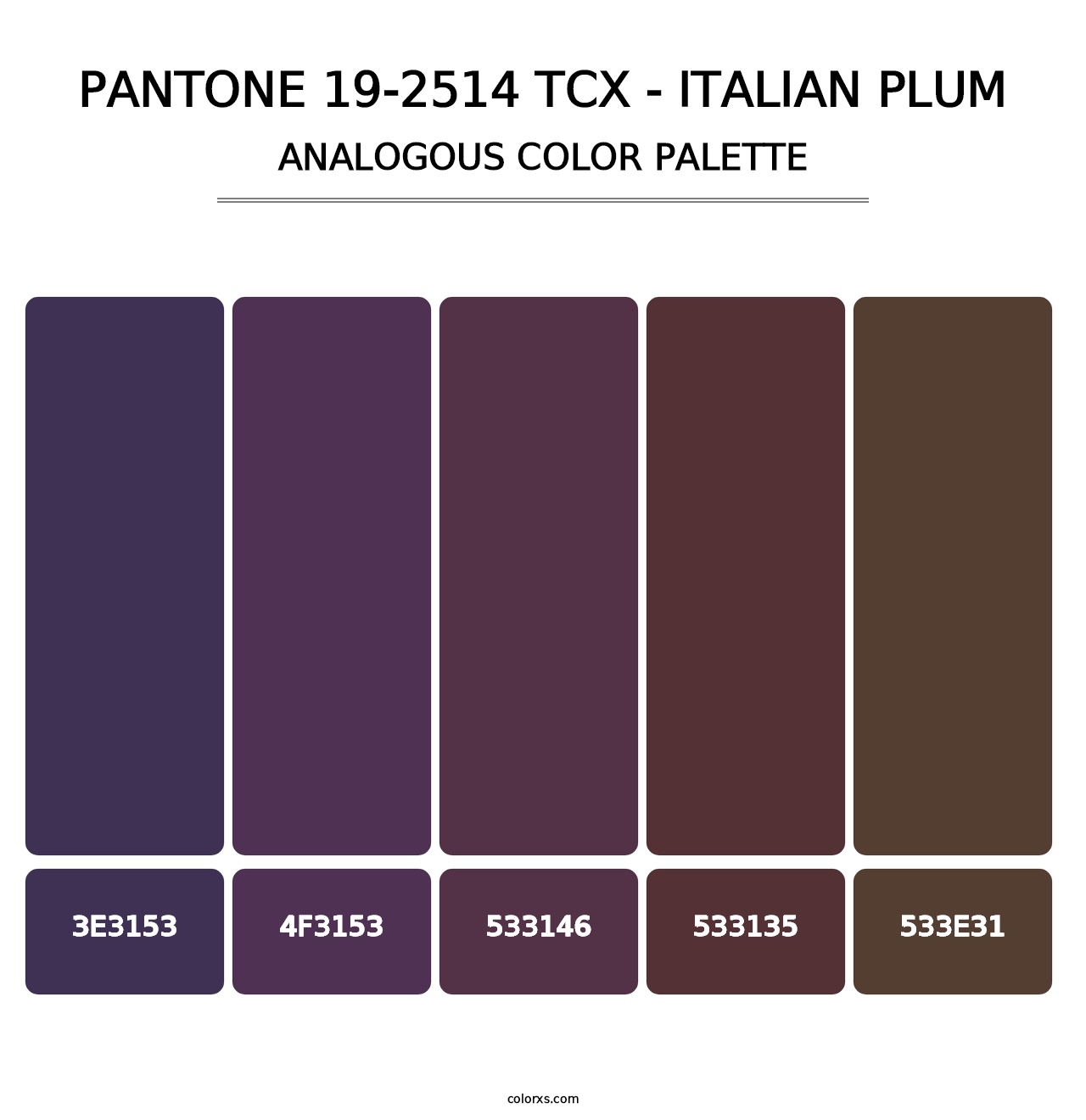 PANTONE 19-2514 TCX - Italian Plum - Analogous Color Palette