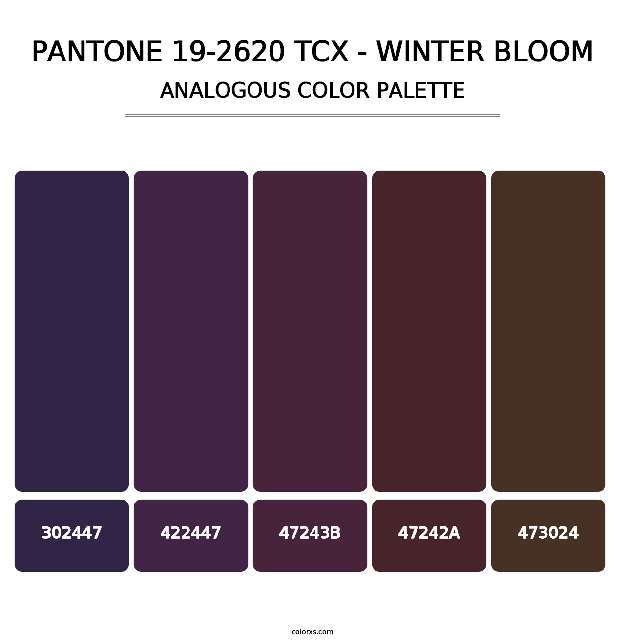 PANTONE 19-2620 TCX - Winter Bloom - Analogous Color Palette