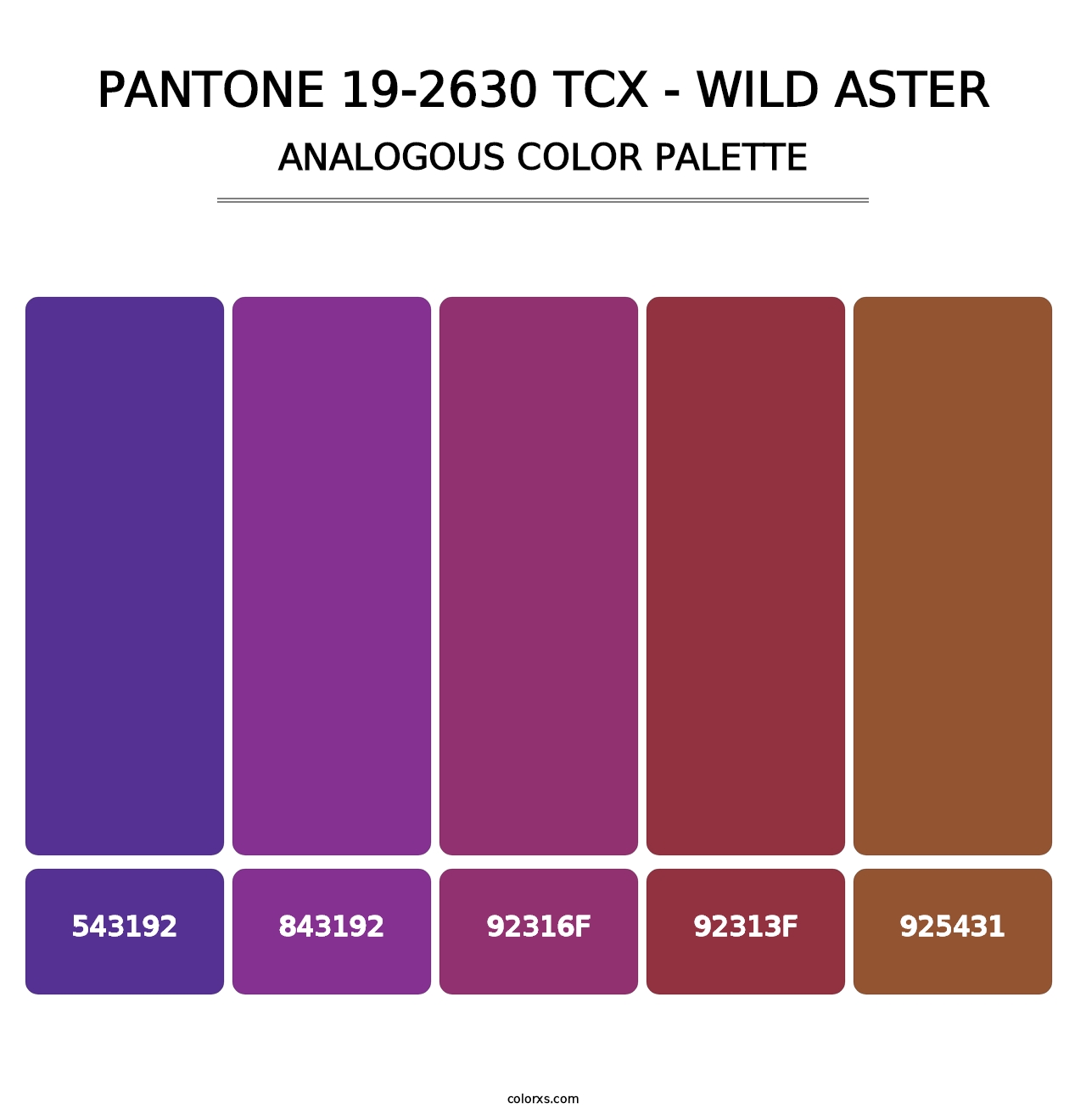 PANTONE 19-2630 TCX - Wild Aster - Analogous Color Palette