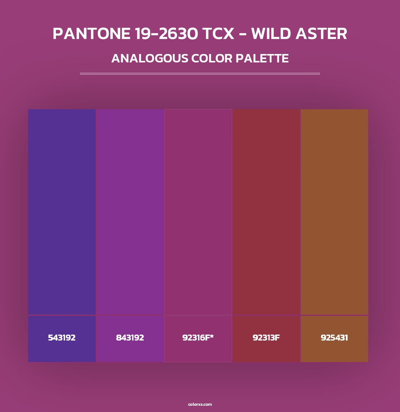 PANTONE 19-2630 TCX - Wild Aster - Analogous Color Palette