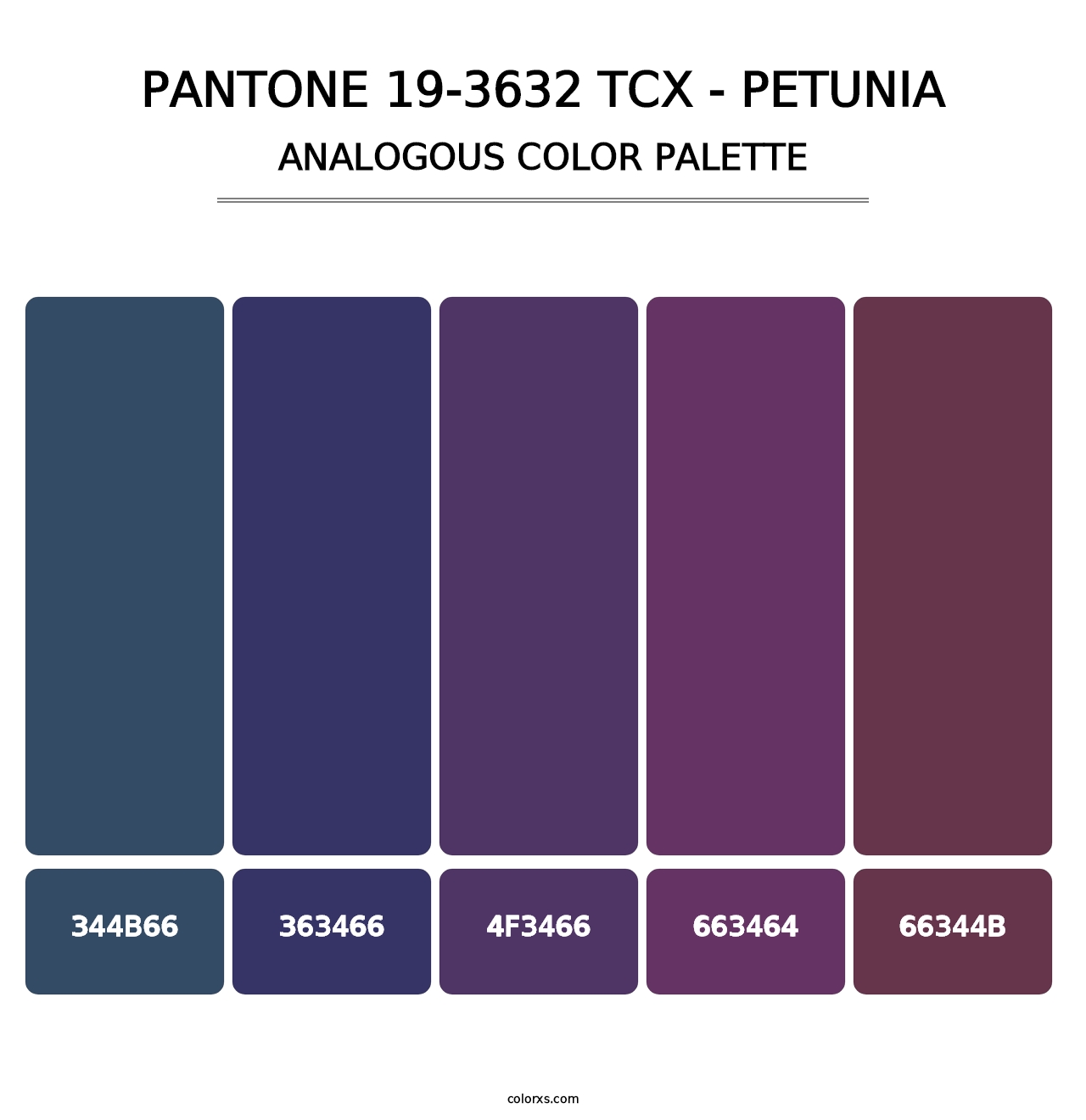 PANTONE 19-3632 TCX - Petunia - Analogous Color Palette