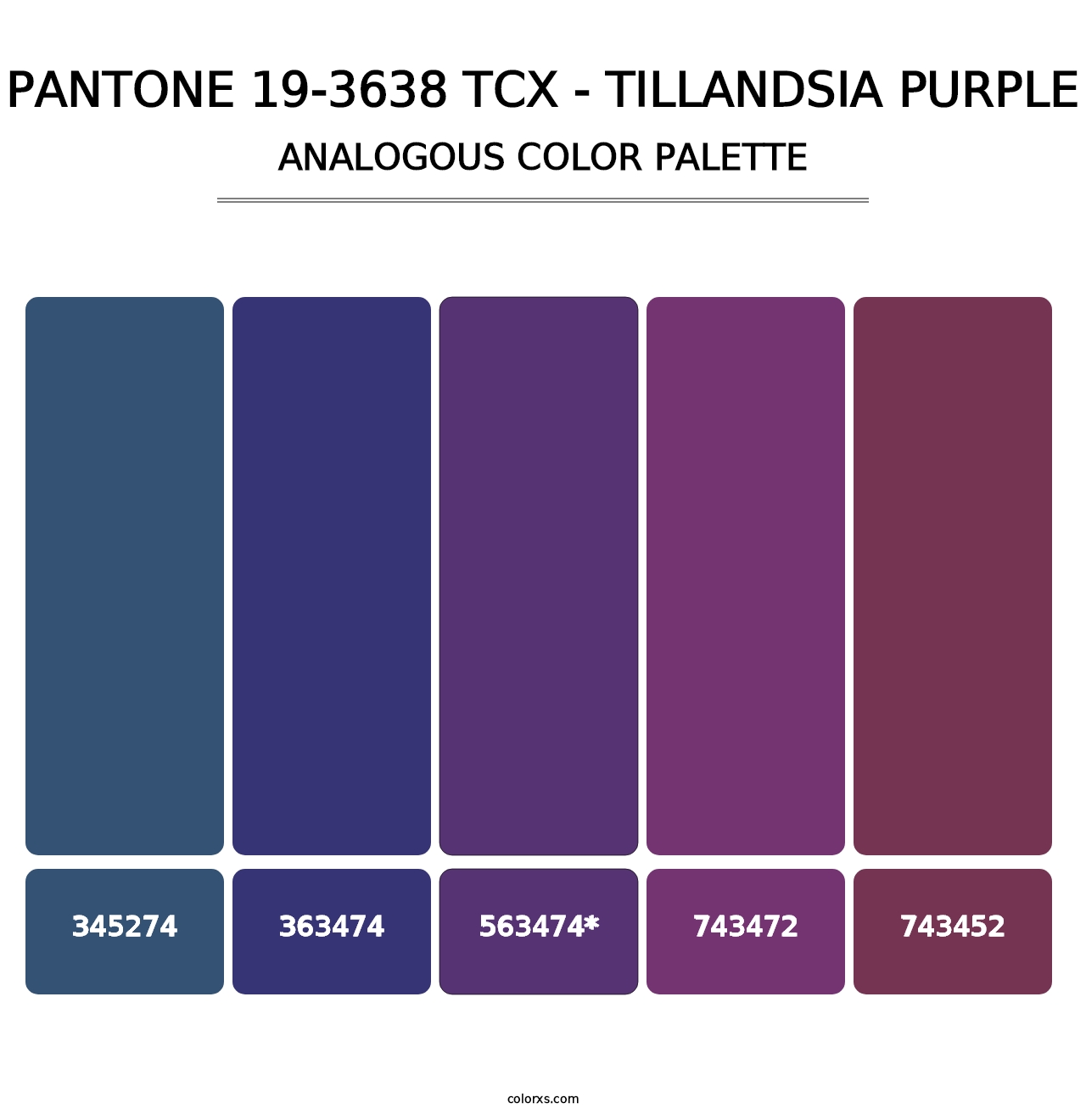 PANTONE 19-3638 TCX - Tillandsia Purple - Analogous Color Palette