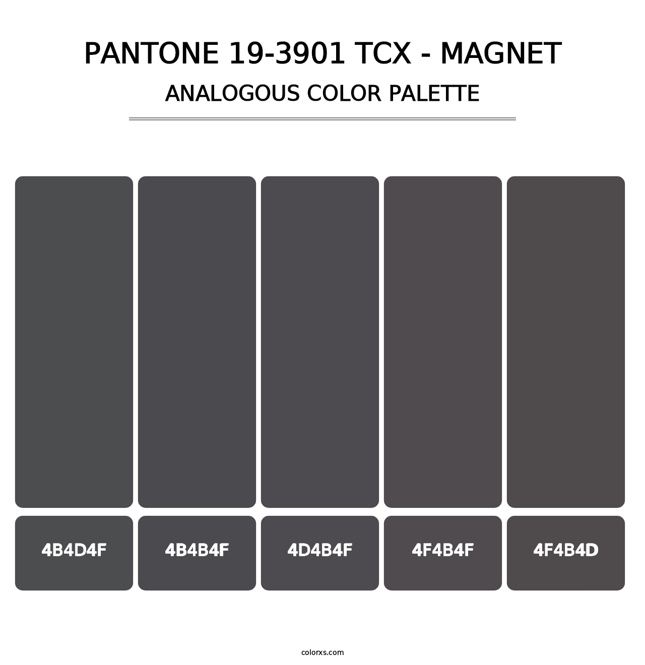 PANTONE 19-3901 TCX - Magnet - Analogous Color Palette