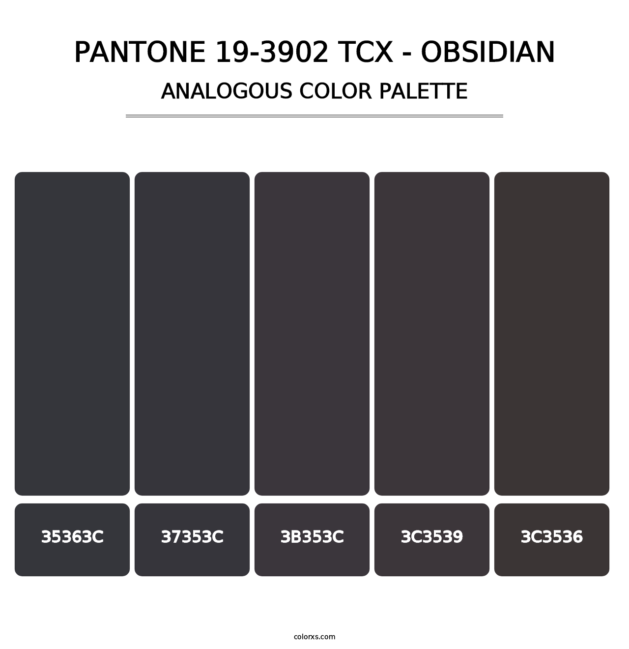 PANTONE 19-3902 TCX - Obsidian - Analogous Color Palette