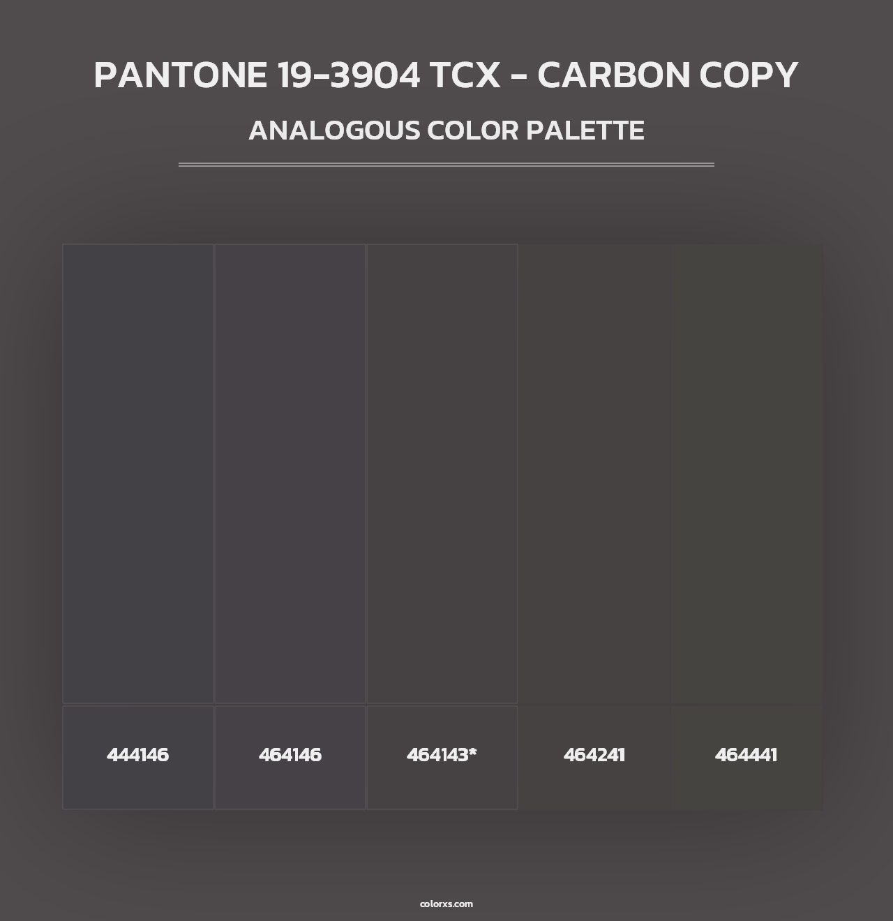 PANTONE 19-3904 TCX - Carbon Copy - Analogous Color Palette