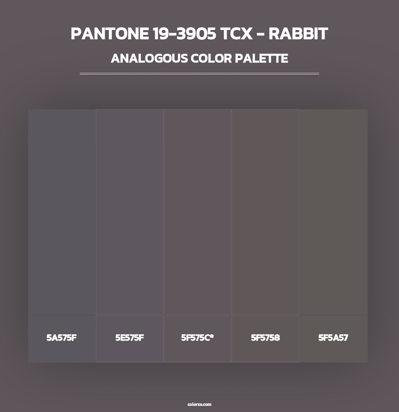 PANTONE 19-3905 TCX - Rabbit - Analogous Color Palette