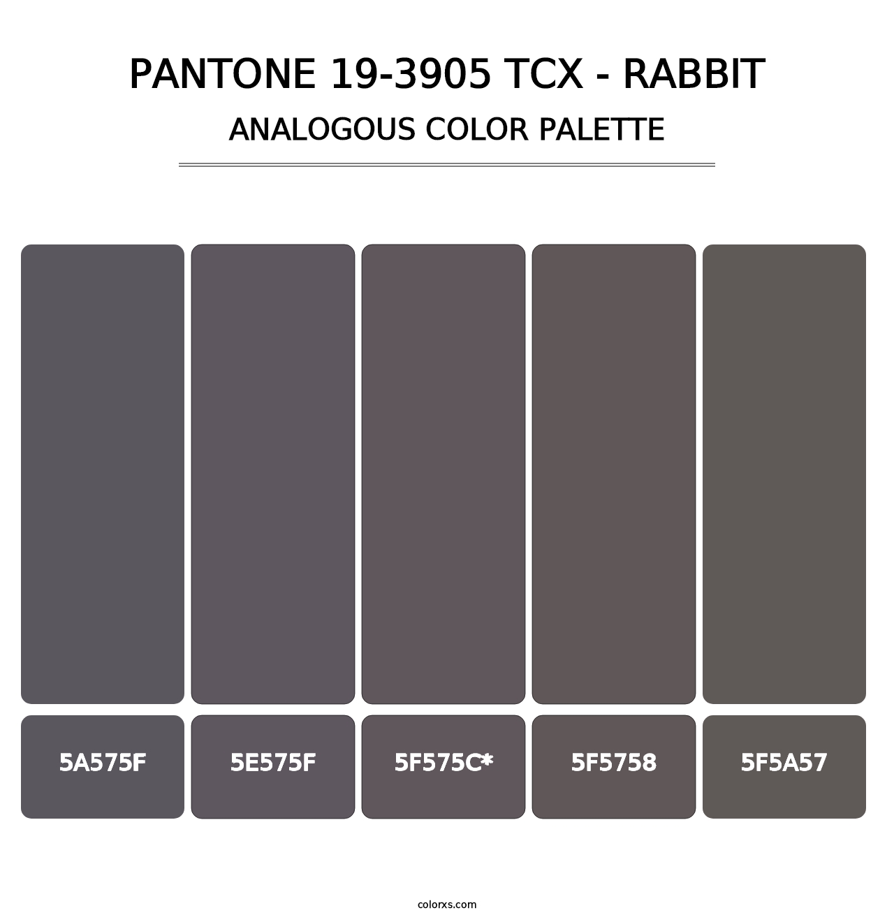 PANTONE 19-3905 TCX - Rabbit - Analogous Color Palette