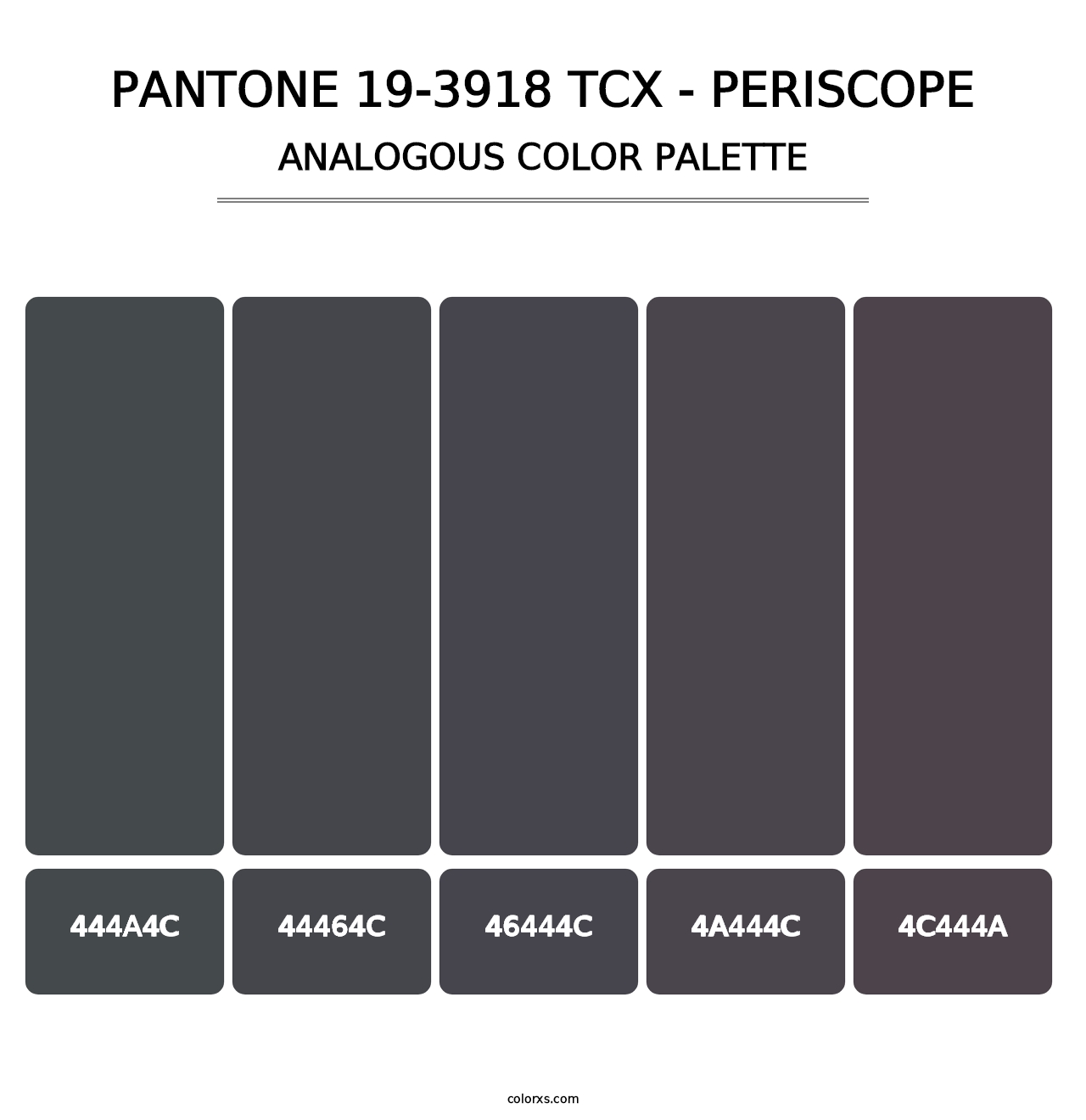 PANTONE 19-3918 TCX - Periscope - Analogous Color Palette