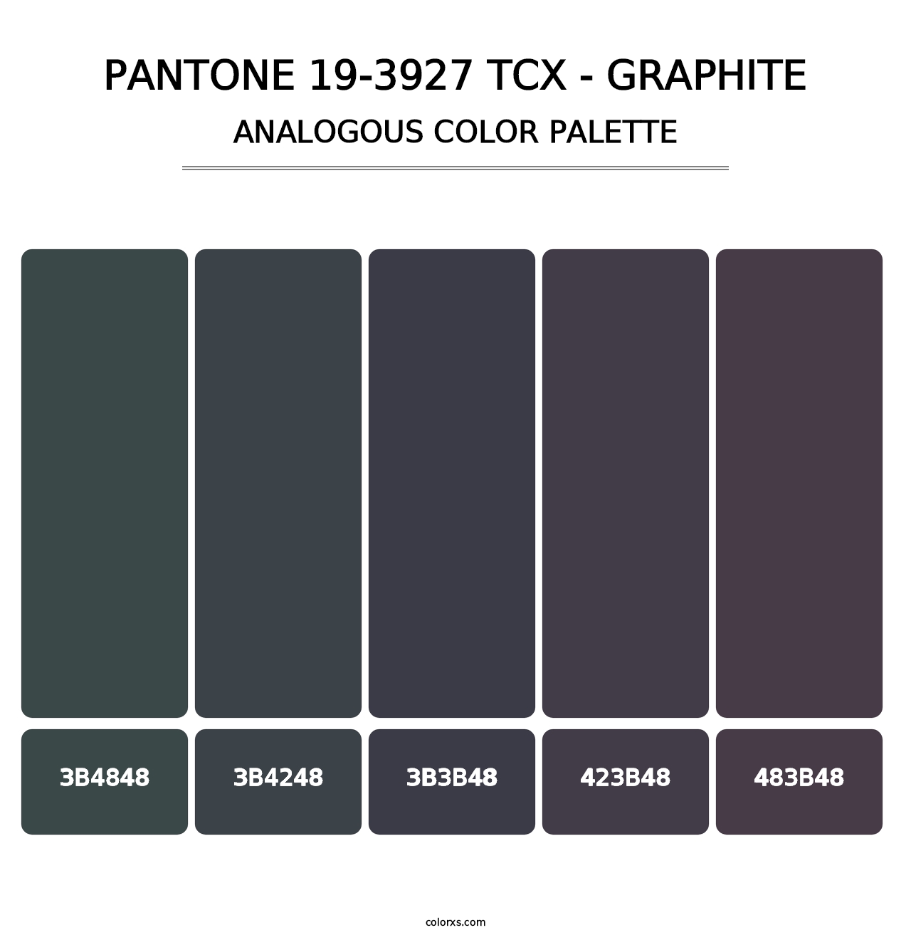 PANTONE 19-3927 TCX - Graphite - Analogous Color Palette