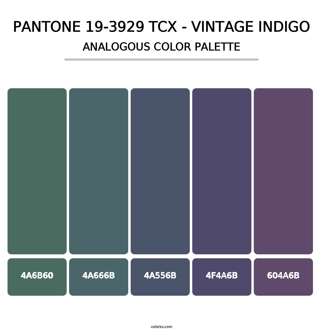 PANTONE 19-3929 TCX - Vintage Indigo - Analogous Color Palette