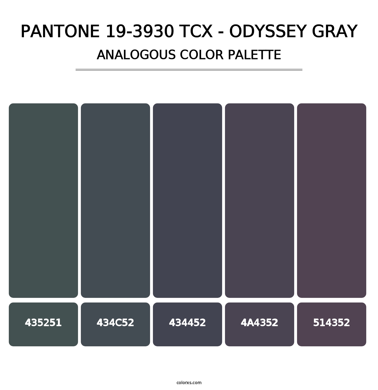 PANTONE 19-3930 TCX - Odyssey Gray - Analogous Color Palette