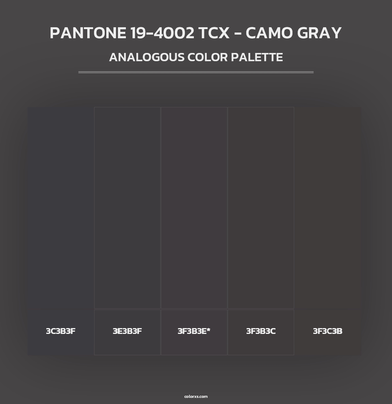 PANTONE 19-4002 TCX - Camo Gray - Analogous Color Palette