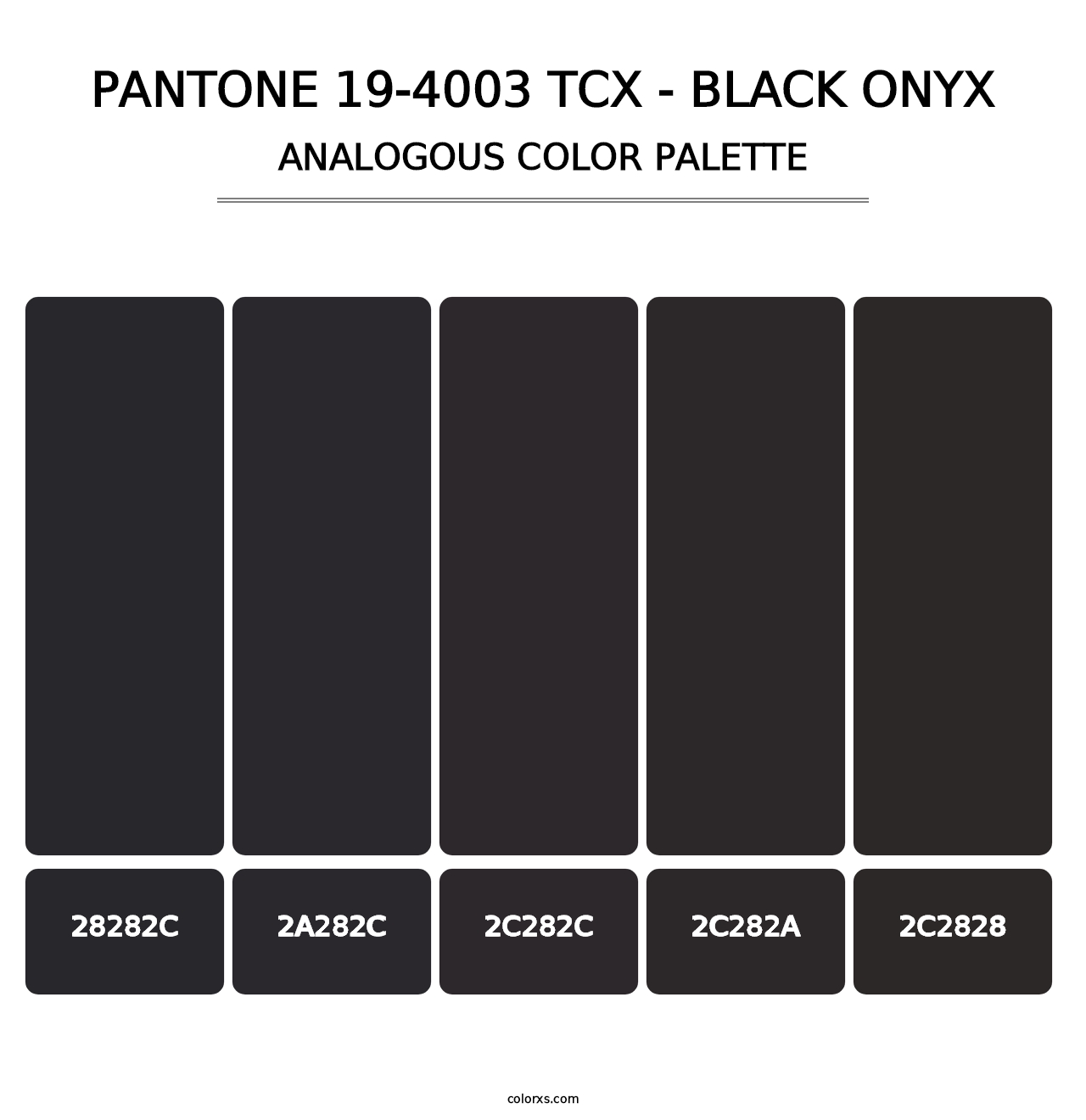 PANTONE 19-4003 TCX - Black Onyx - Analogous Color Palette